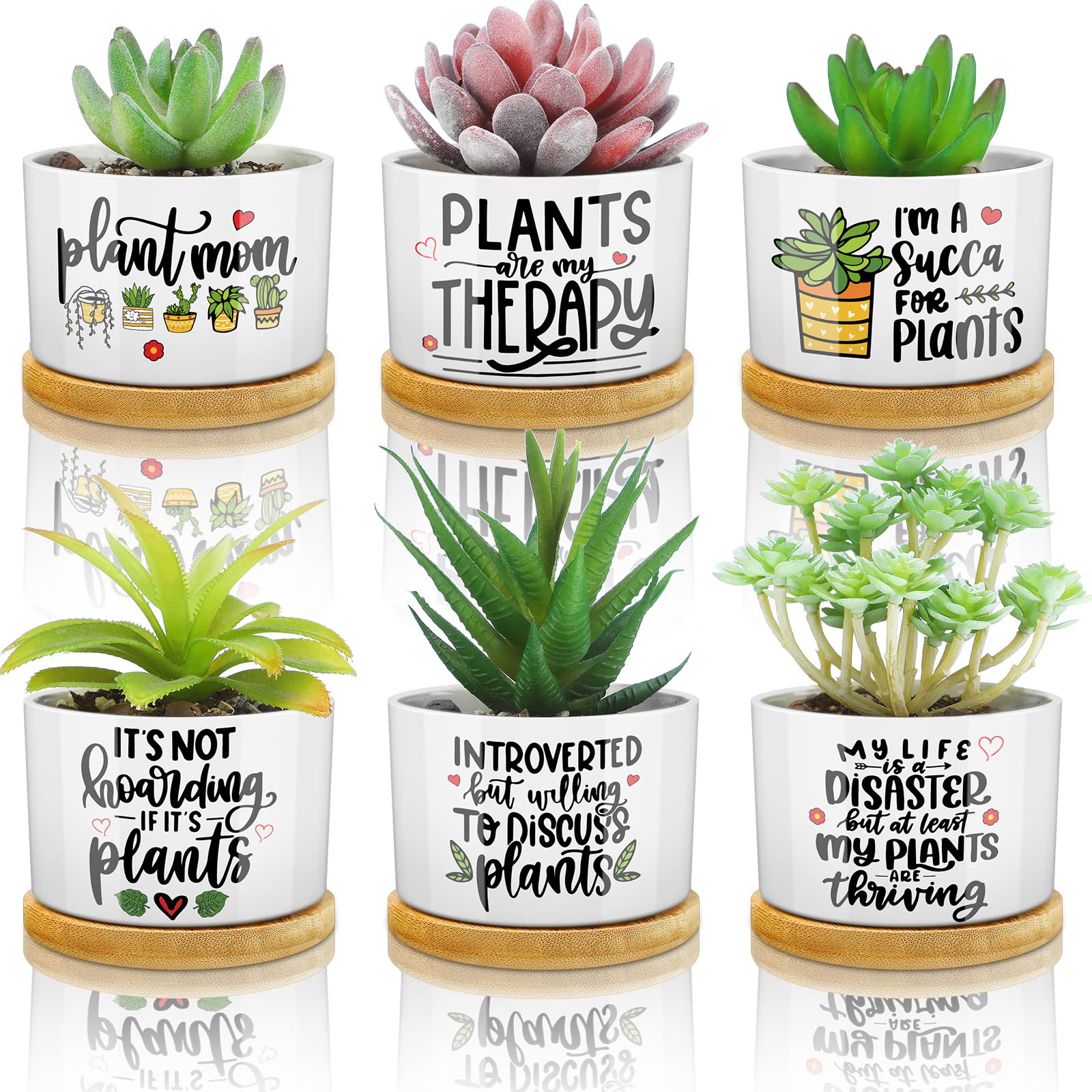 6-Piece Funny Succulent Plant Pots with Bamboo Tray - Cute Ceramic Planters for Succulents, Perfect Teacher Gifts for Graduation, Birthday & Office Decor (Cute Style) | Ideal for Home, Office Desk & Classroom Decorations