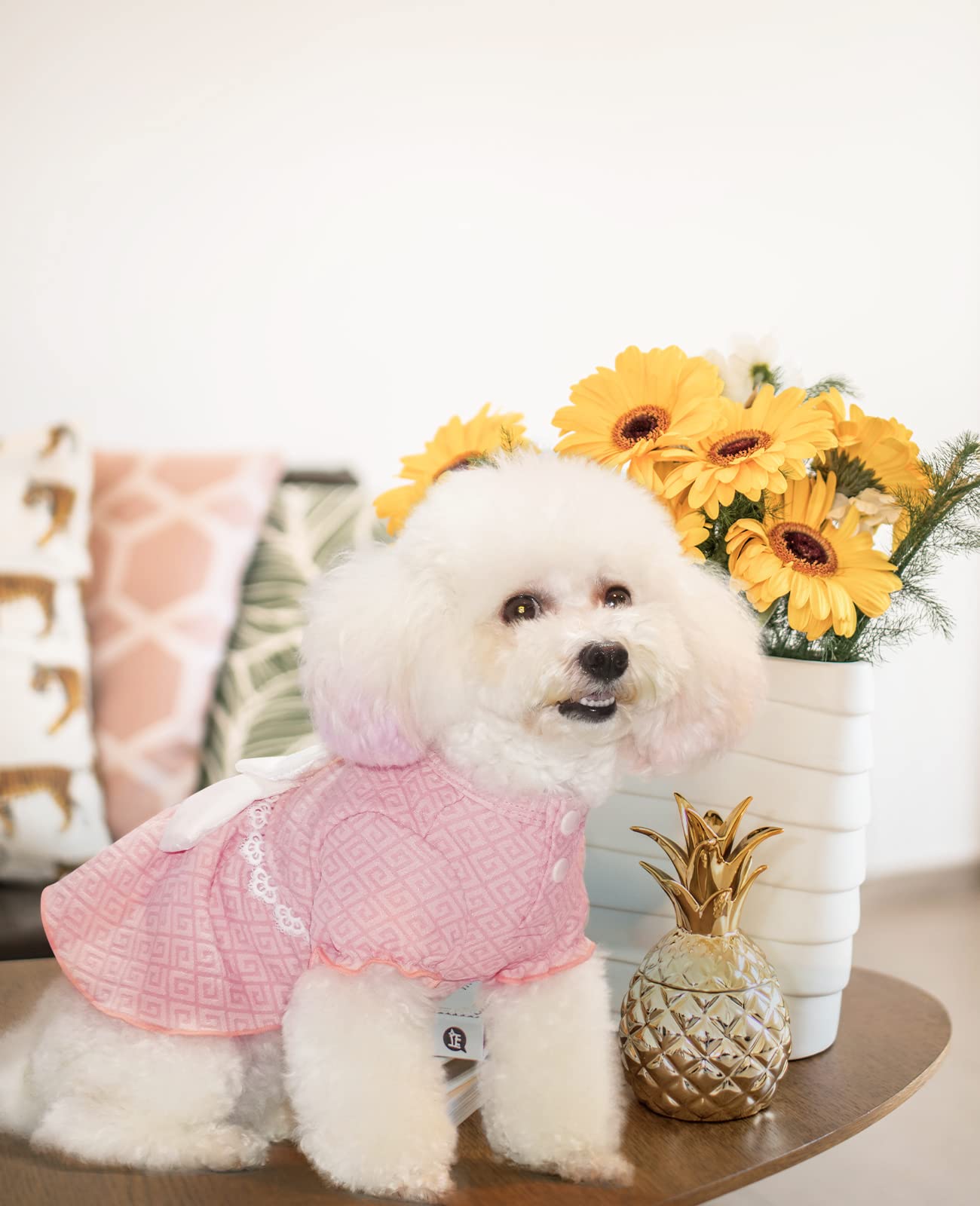 Princess Dog Dress with Bow Tie - Soft & Breathable Pet Costume for Small & Medium Dogs - Perfect for Birthday Parties, Holidays & Special Occasions (Pink, XL)