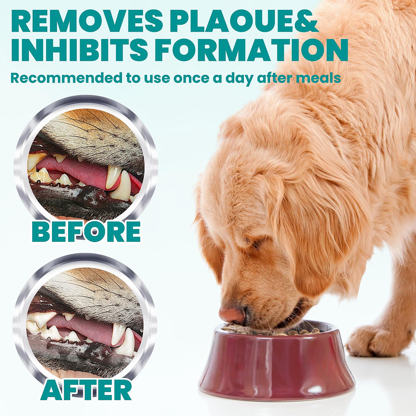 60 Count Dental Care Finger Wipes for Dogs & Cats - Coconut Scented Teeth Cleaning Wipes to Reduce Plaque & Freshen Breath | Perfect for Puppy, Kitten & Pet Oral Hygiene at Home or Travel