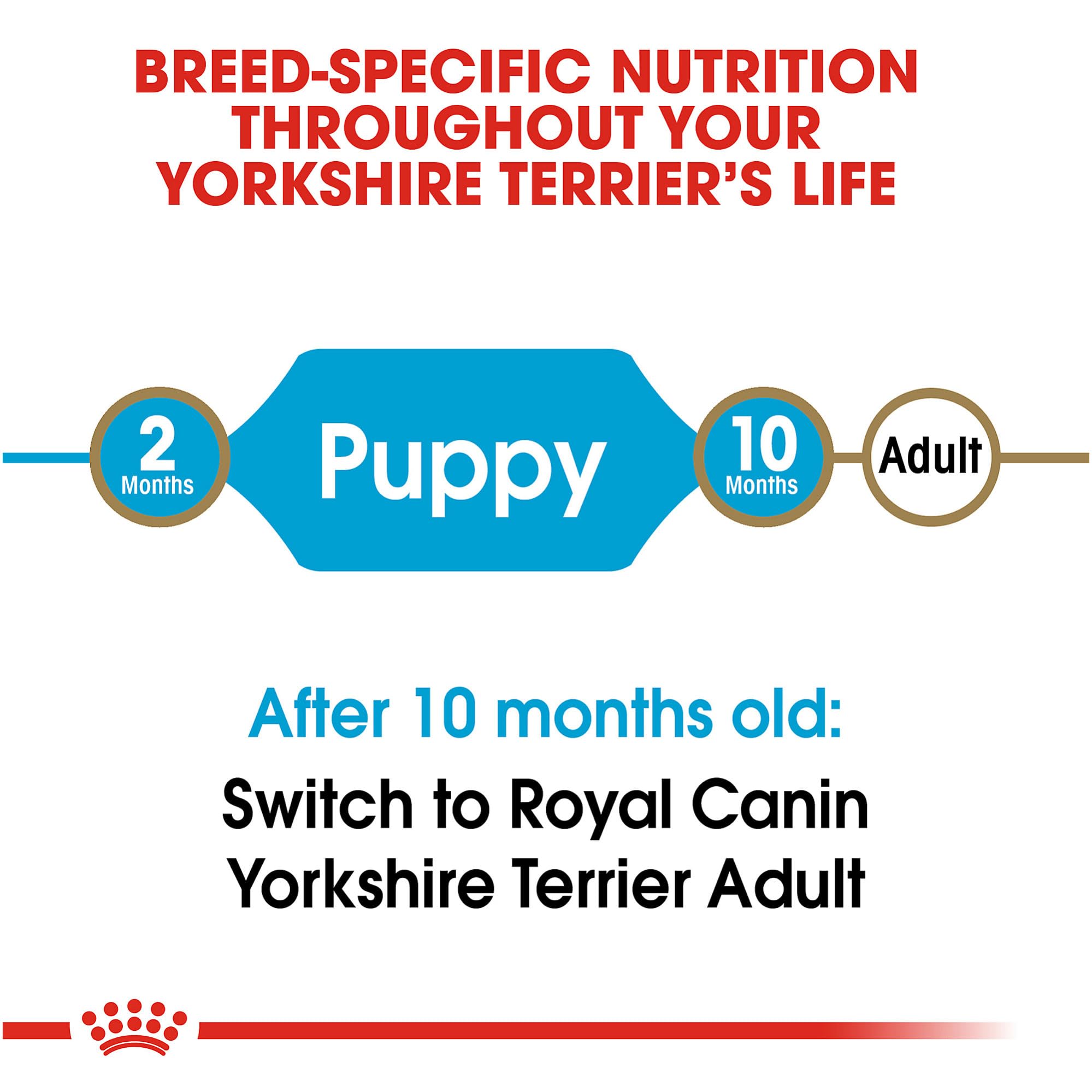 Royal Canin Yorkshire Terrier Puppy Dry Dog Food - Breed Specific Nutrition for Small Dogs, 2.5 lb Bag - Perfect for Yorkshire Terrier Puppies' Growth & Development