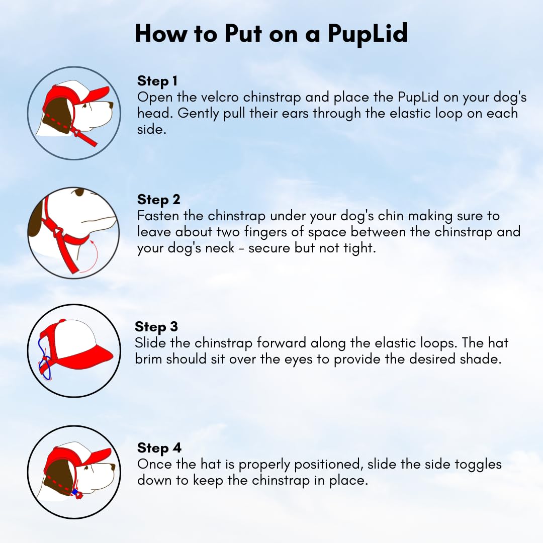 **Premium PupLid Trucker Hats for Dogs - Small Adjustable Sun Protection Hat for Active Pets | Stylish & Comfortable Fit | Red Surfer Dog Design | Perfect for Beach, Hiking & Outdoor Adventures**
