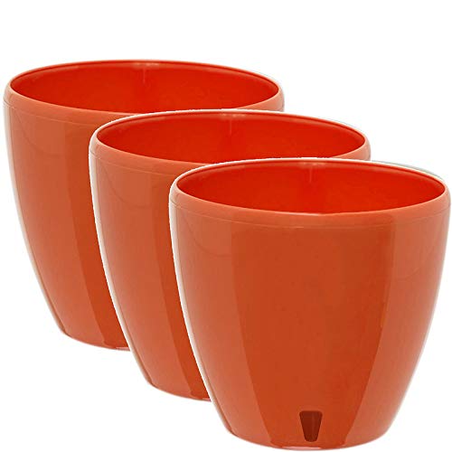 Poppy-seed - Set of 3