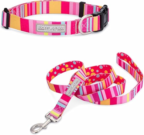 Molly Collar/Leash Combo