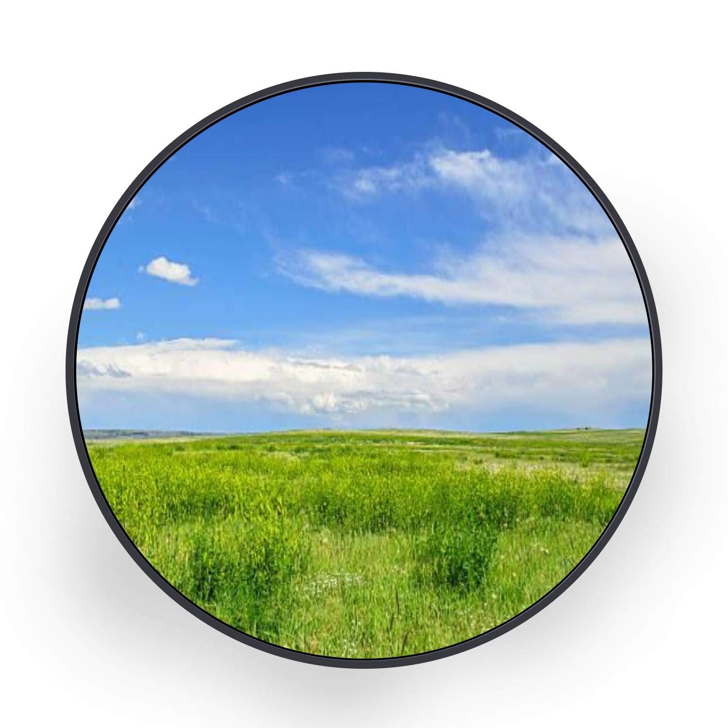 Round Canvas Wall Art - Short Grass Prairie Landscape Painting - Black Framed Ready to Hang Wall Decor for Bedroom & Living Room - 32 Inch - Perfect for Modern Home, Office & Farmhouse Decor