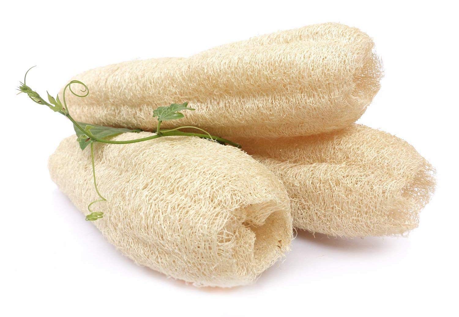 BEAU STUTI 100% Natural Organic Loofah Sponge for Bath & Shower - Large Size Exfoliating Body Scrubber Made with Ridge Guard Fiber, Pack of 3 (Purple) - Perfect for Spa, Exfoliation & Sensitive Skin Care