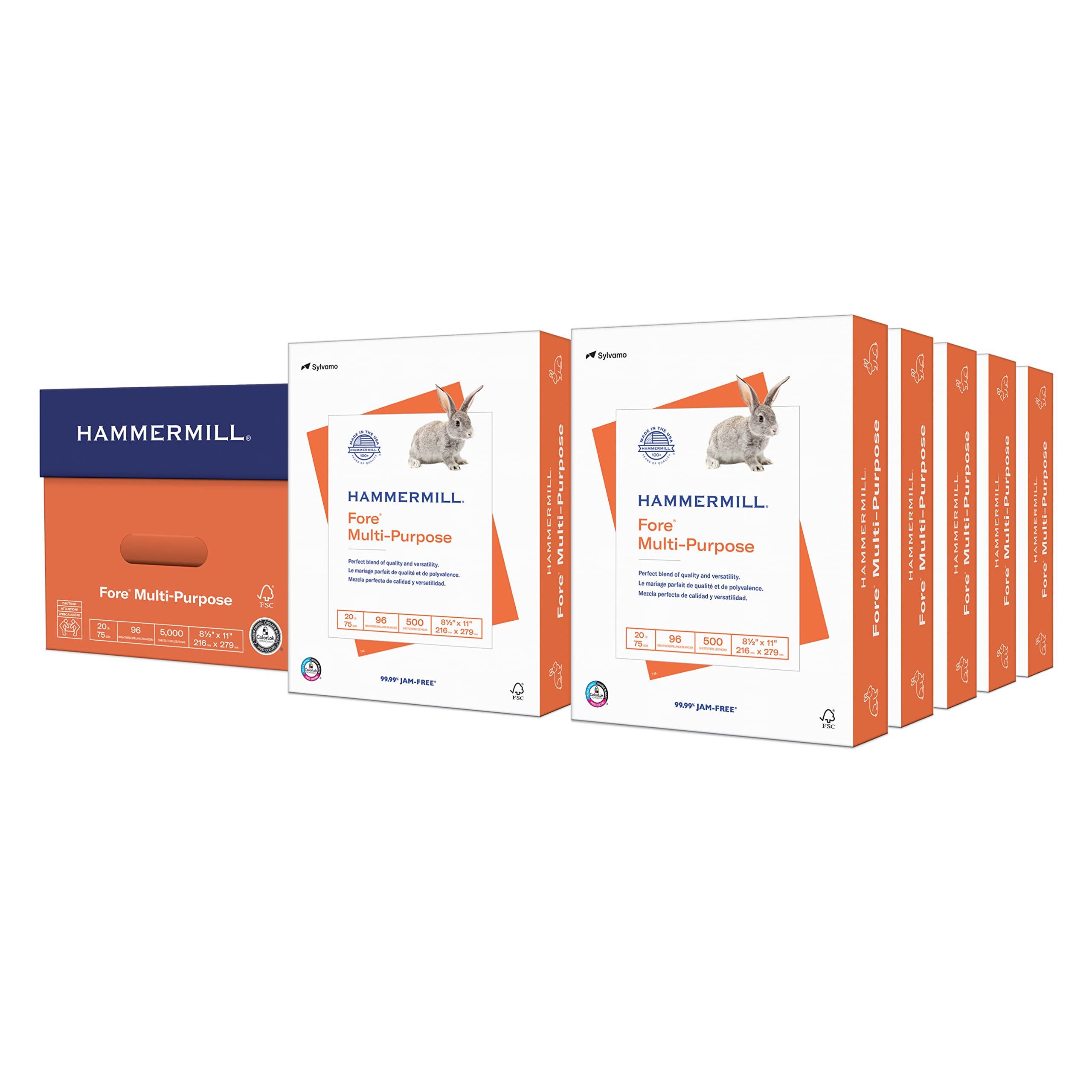 Hammermill Printer Paper, 20 lb Multipurpose Copy Paper, 8.5 x 11, 10 Reams (5,000 Sheets) - 96 Bright, Made in USA, 103267C - Perfect for Office, School & Home Printing, Copying & Faxing