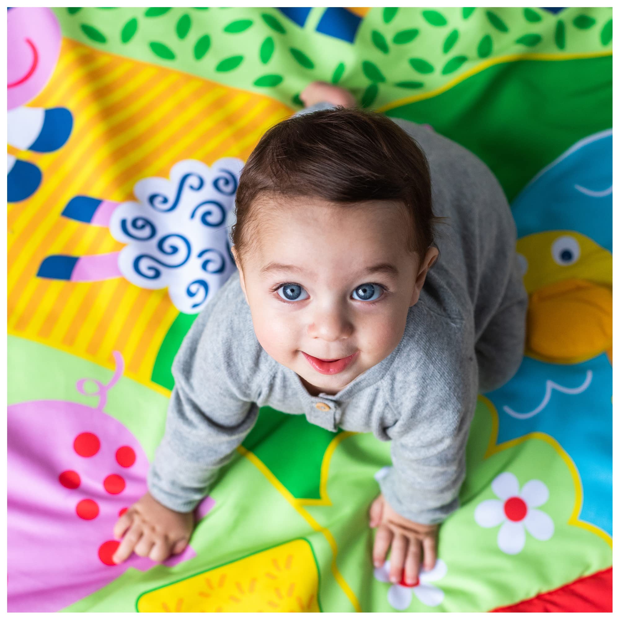 Galt Toys Large Farm Playmat for Kids - Educational Farm Animal Activity Mat for Toddlers & Preschoolers - Perfect for Playrooms, Daycare & Home Learning