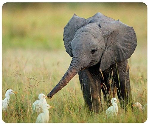 Custom Elephant Design Gaming Mouse Pad - Non-Slip Rectangle Mouse Mat for PC, Laptop & Office Use - Perfect for Gamers, Programmers & Workstations
