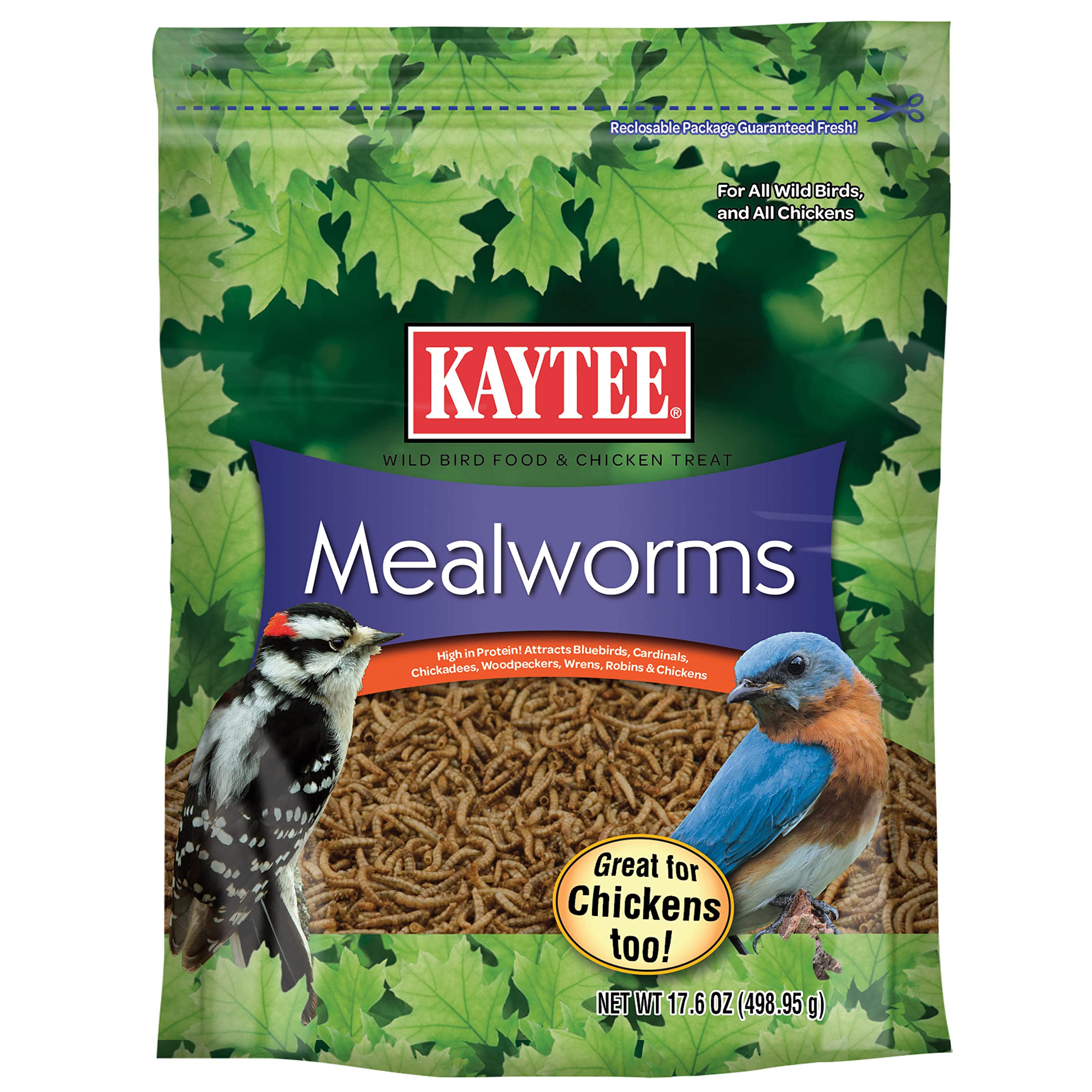 Kaytee Mealworm Food Pouch for Birds, Reptiles & Small Pets - High Protein Treat - Wild Bird Food & Pet Snacks - Perfect for Feeding Chickens, Hamsters & Hedgehogs