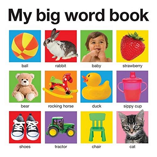 My Big Word Book - English Vocabulary Builder for Kids | Early Learning & Reading Practice | Perfect for Homeschooling & Classroom Use