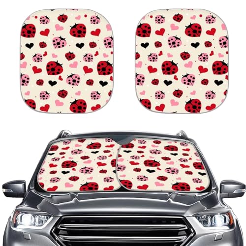 Ladybug