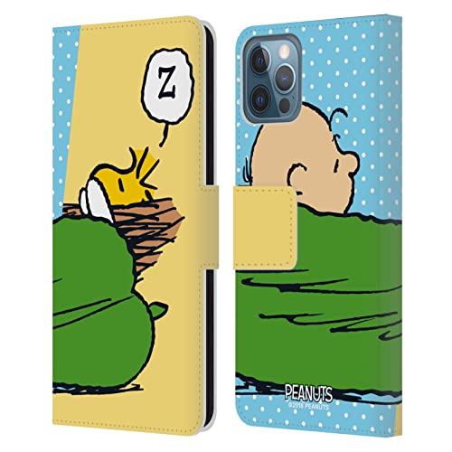 Charlie & Woodstock Nap