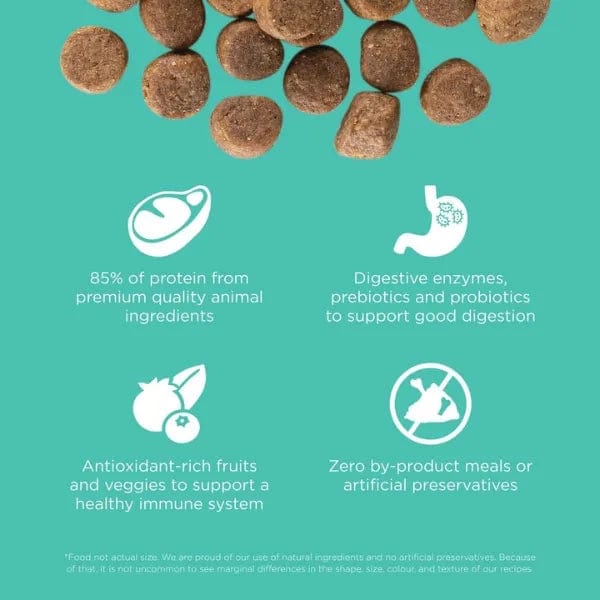 Go! Solutions Carnivore Grain-Free Dry Dog Food with Chicken, Turkey & Duck - High Protein Recipe for Active Dogs - Perfect for Large Breeds & Sensitive Stomachs - Ideal for Daily Feeding & Training Rewards