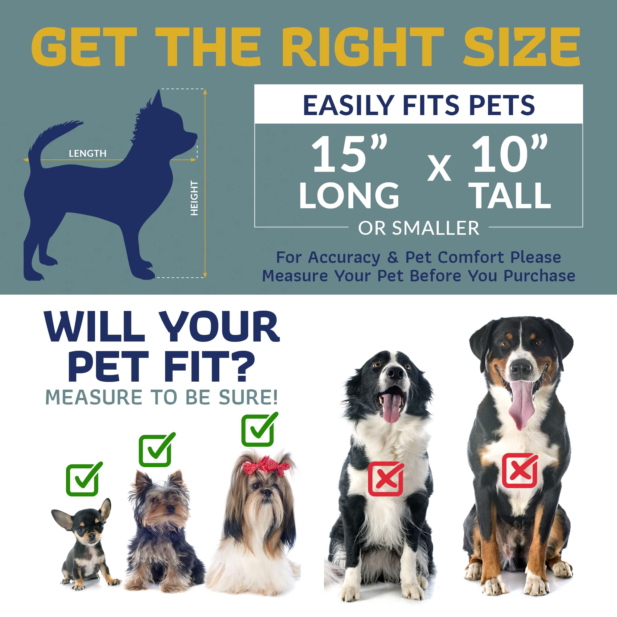 Katziela Airline Approved Pet Carrier for Small Dogs & Cats - TSA & FAA Compliant Soft-Sided Travel Carrier - Perfect for Airplane, Car, and Outdoor Adventures (Black/Blue)