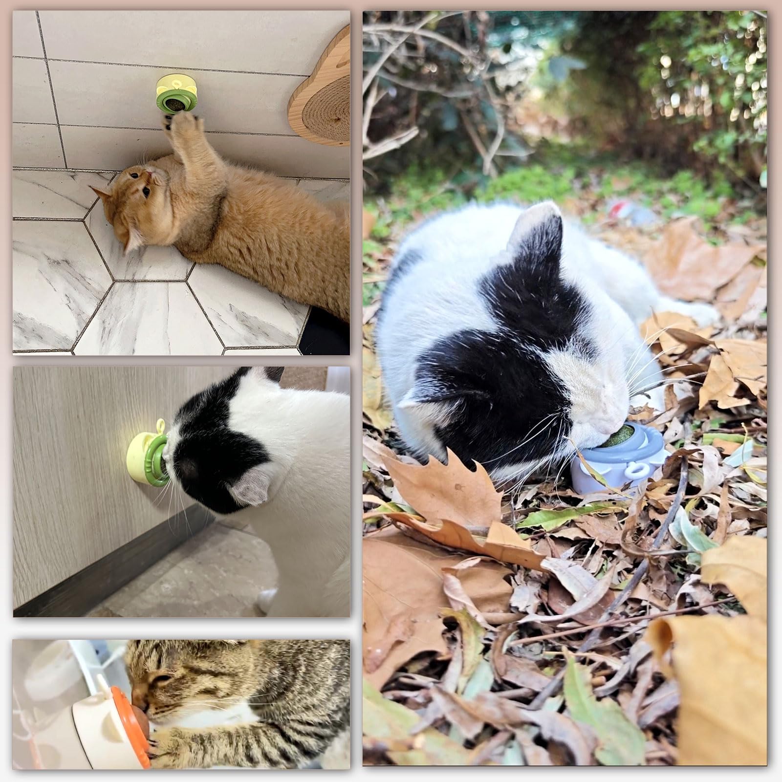 Premium Catnip Balls Toys for Indoor Cats - 3PCS Natural Catnip Roller Ball for Wall Play, Licking & Teeth Cleaning - Fun Dental Kitten Toy for Adult Cats - Perfect for Playtime, Stress Relief & Dental Health