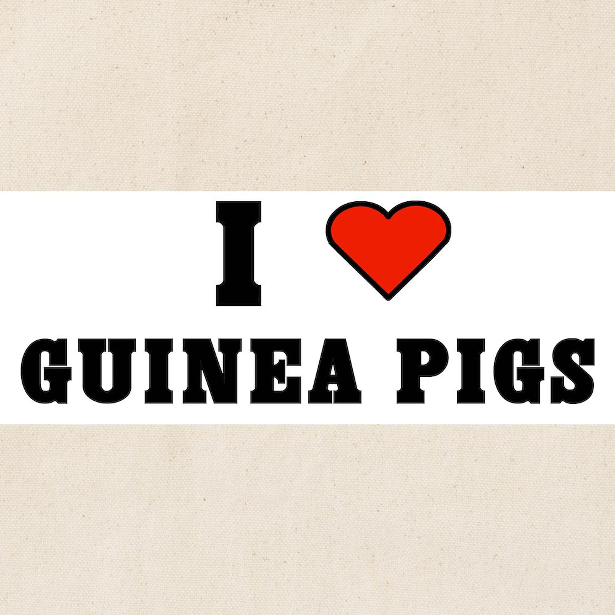 I LOVE GUINEA PIGS Tote Bag - Natural Canvas Reusable Shopping Bag for Groceries, Beach & Daily Use | Cute Guinea Pig Lover Gift