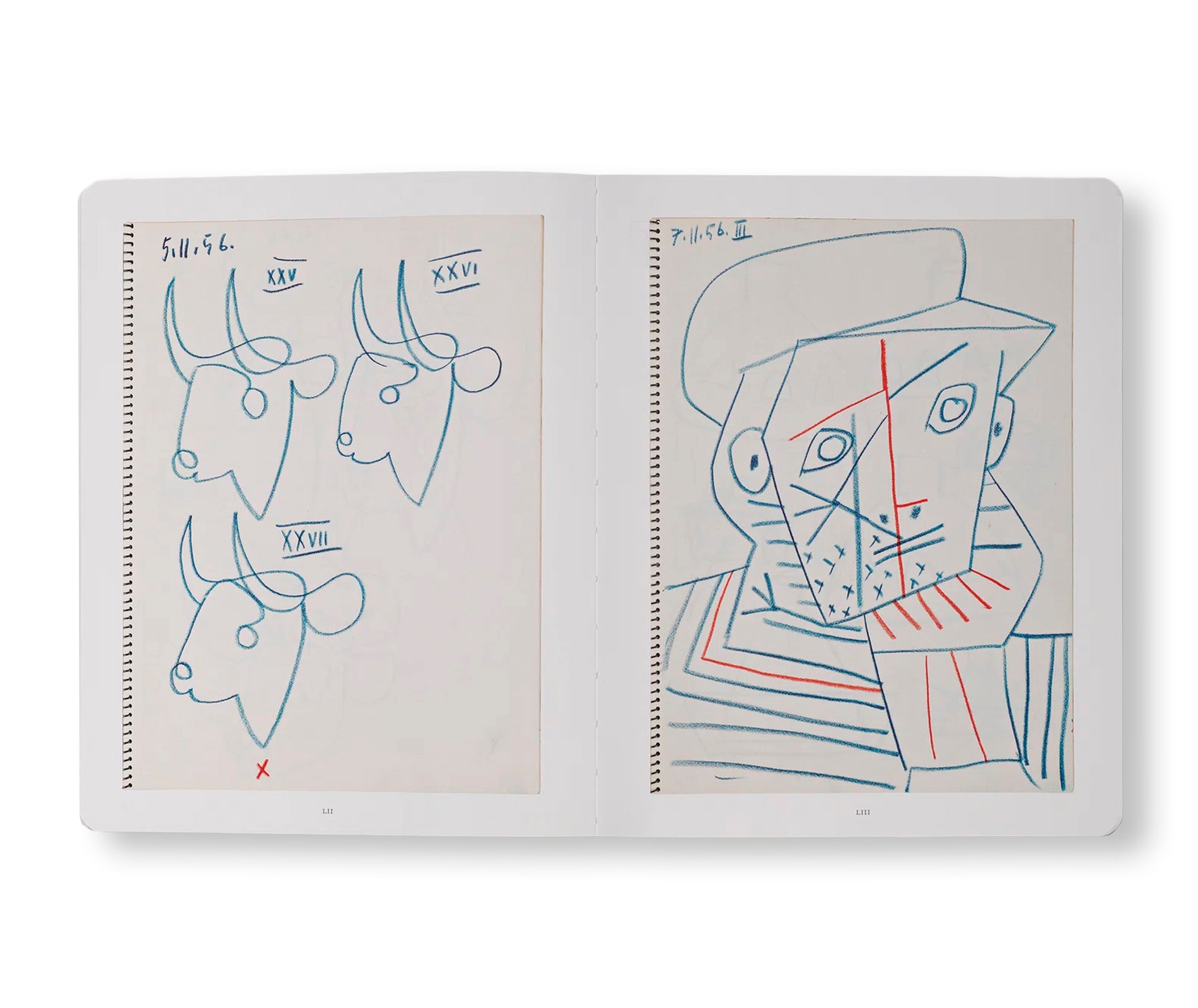 PICASSO: 14 Sketchbooks by Pablo Picasso - Authentic Art Collection for Artists, Students & Collectors - Perfect for Drawing Practice, Art Study & Home Decor
