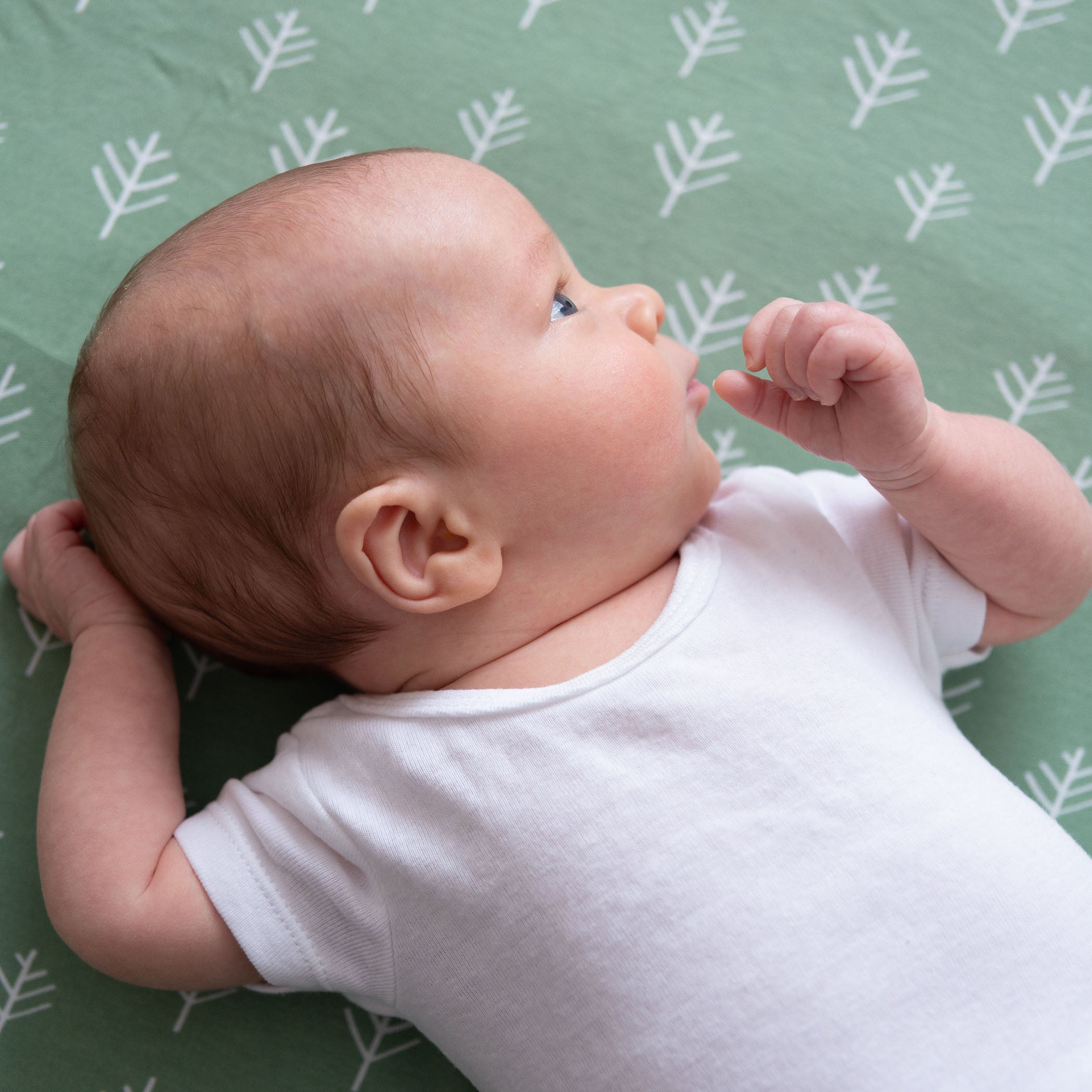 Nordic 2-Pack Jersey Cotton Fitted Sheets - Soft Breathable Crib Sheets for Baby (Avocado Green & Forest Green) - Perfect for Nursery, Daycare & Travel Cribs