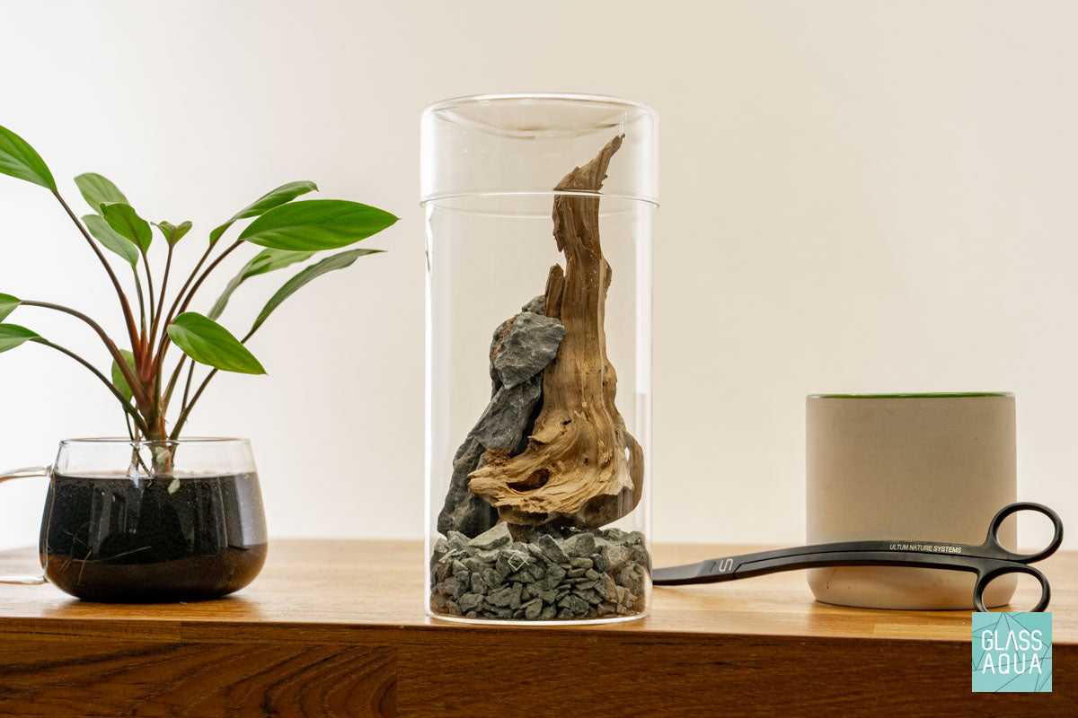 Miniature Terrarium Kit 006 - DIY Glass Garden with Live Plants & Decorative Stones for Home Office Decor | Perfect for Gifts, Desk Decorations & Relaxation Therapy