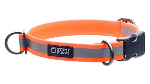 Go Dog Glo Reflective LED Dog Collar - Orange | Waterproof & Adjustable for Nighttime Safety | Perfect for Walking, Running & Outdoor Adventures