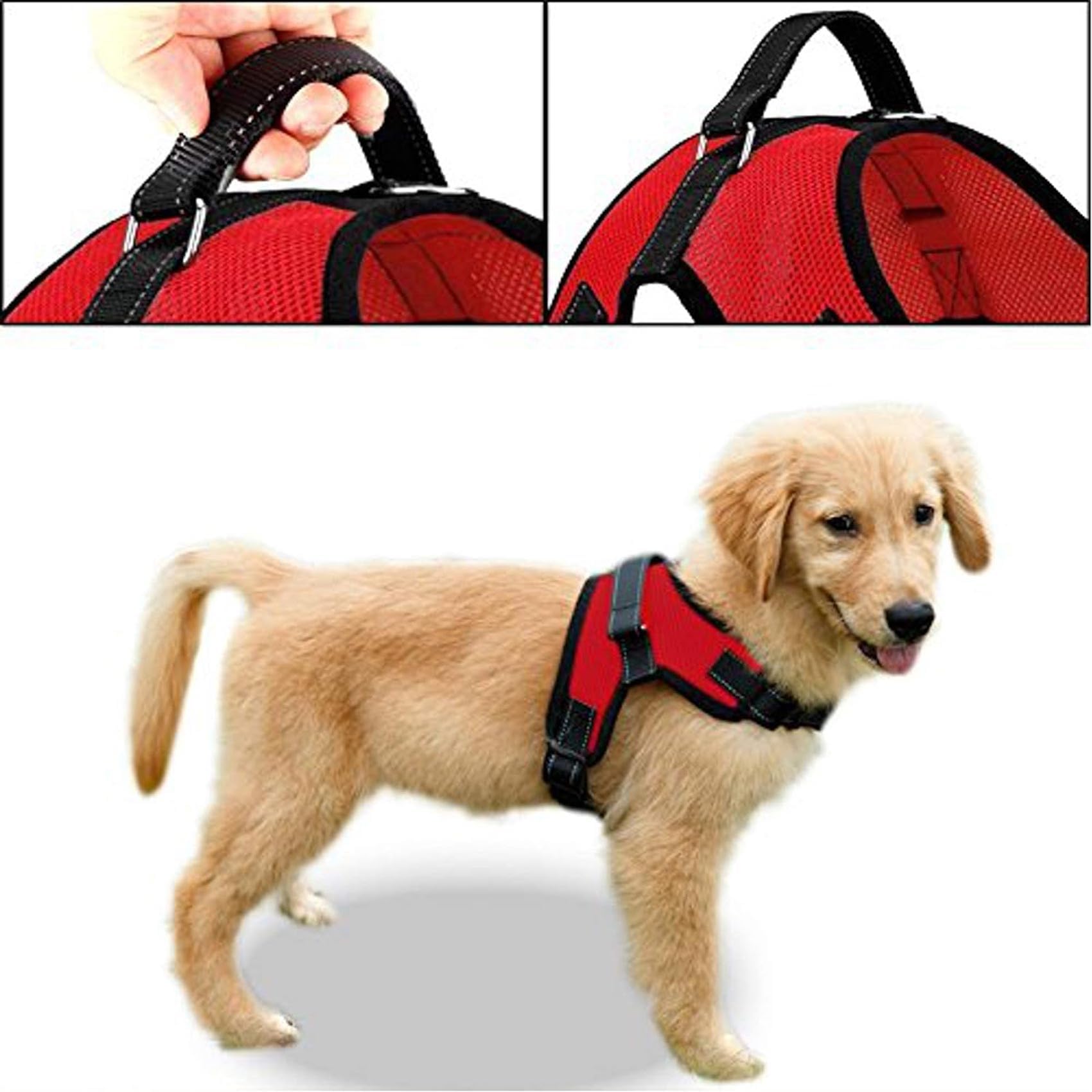 No Pull Reflective Adjustable Dog Harness with Handle - Comfortable Soft All-Weather Mesh Vest for Small, Medium & Large Dogs - Easy On Puppy Harness for Walking, Running & Training (Red, XX-Small)