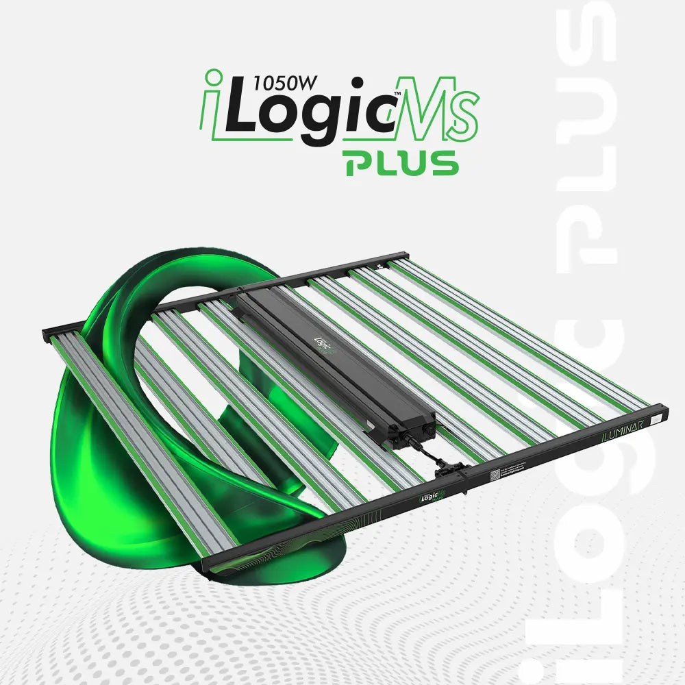 iLogic MS PLUS 1050W Full Spectrum LED Grow Light for Indoor Plants - High Efficiency Hydroponic Lighting System for Vegetables, Flowers, and Herbs - Perfect for Grow Tents, Greenhouses, and Home Gardening