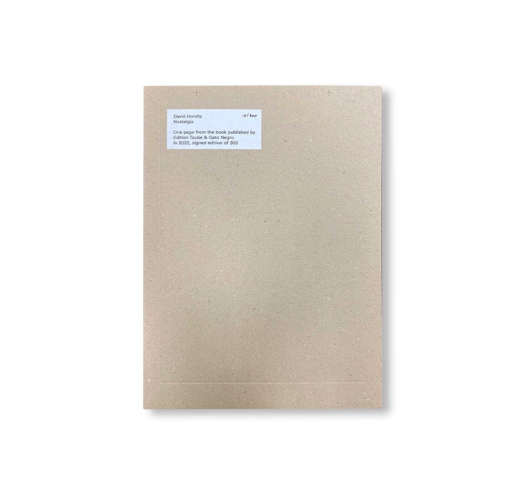 NOSTALGIA (2022) by David Horvitz - Limited Special Edition Art Book | Perfect for Contemporary Art Collectors & Photography Enthusiasts