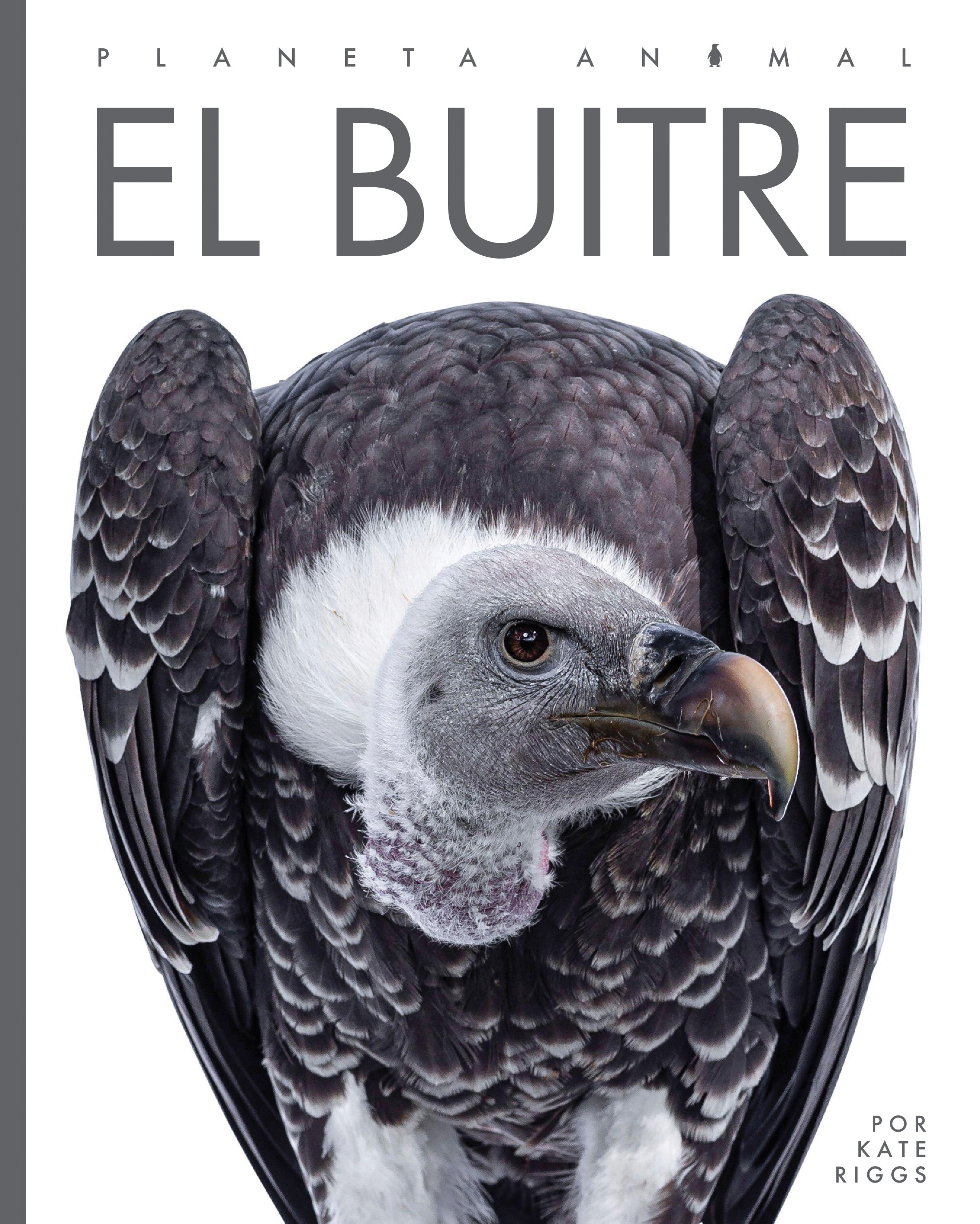 El Buitre 9781640266841 - Spanish Book for Kids, Wildlife & Nature Education - Perfect for Homeschooling & Classroom Learning