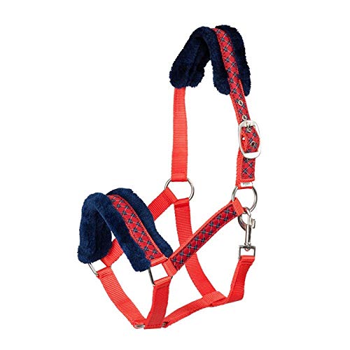 Premium Plastic Halter with Comfortable Lining - Red & Blue for Horses, Ponies & Farm Animals | Durable Equestrian Training Gear for Riding, Grooming & Show Events