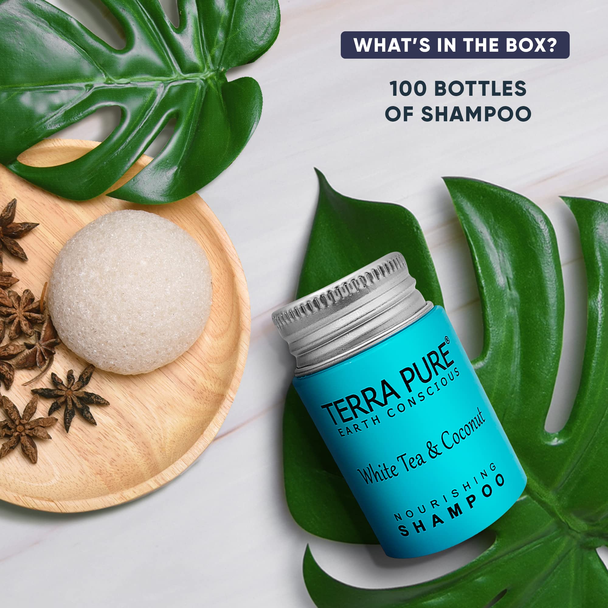 Terra Pure White Tea & Coconut Shampoo - Travel Size (1 oz) | Bulk Hotel Amenities (Case of 100) | Perfect for Hotels, Spas, Gyms & Travel Essentials