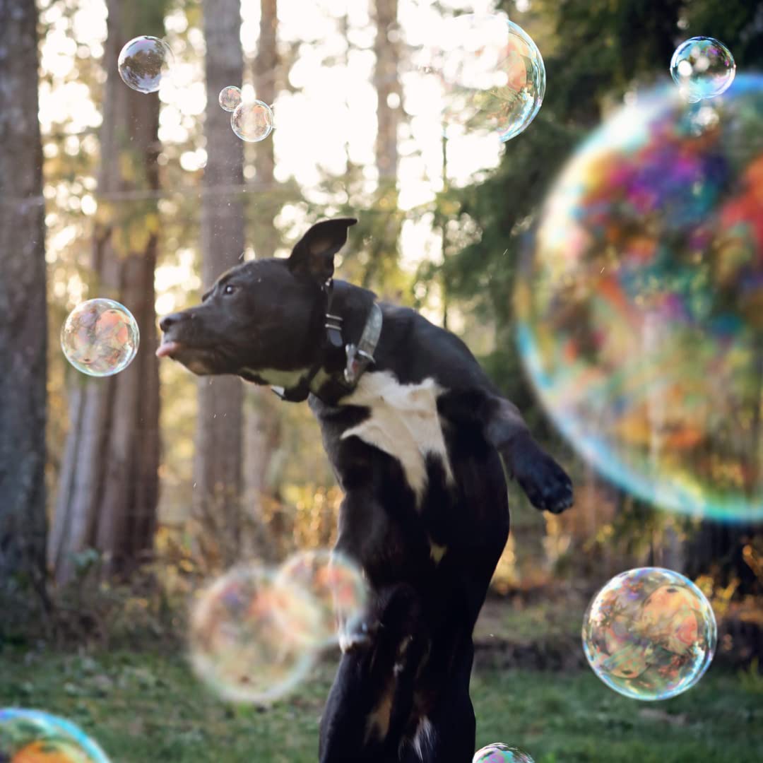 Non-Toxic Vegan Dog Bubbles 3-Pack - Bacon, Peanut Butter & Chicken Flavored Interactive Pet Toys for Dogs - Fun Blowing Bubbles Game for Outdoor Play, Training & Birthday Gifts