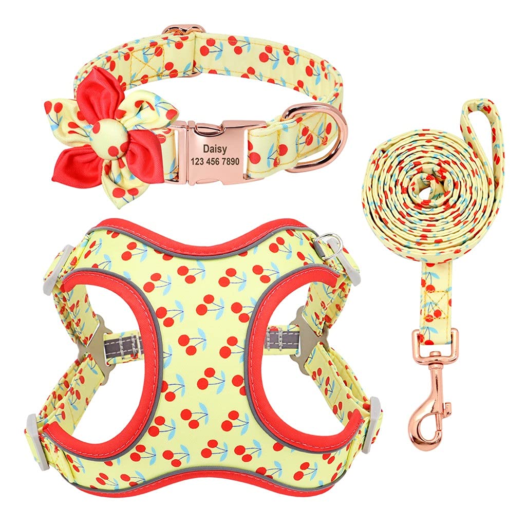 Custom Printed Nylon Dog Harness & Collar Set with Leash - Personalized Pet ID Tag - Adjustable Vest for Small/Medium/Large Dogs - Perfect for Walking, Training & Outdoor Adventures