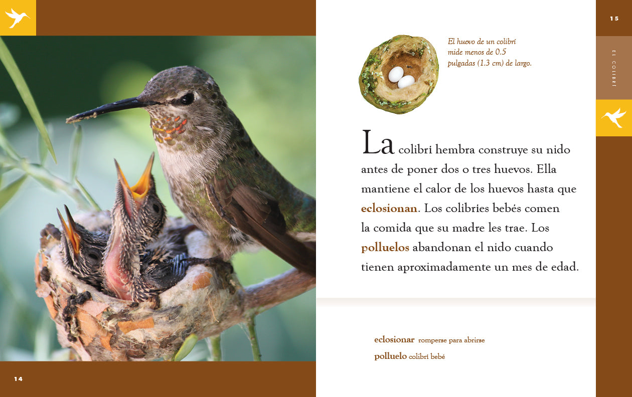 El Colibri 9781640266735 - Beautiful Hummingbird Book for Nature Lovers | Perfect for Birdwatching, Gifts & Home Decor