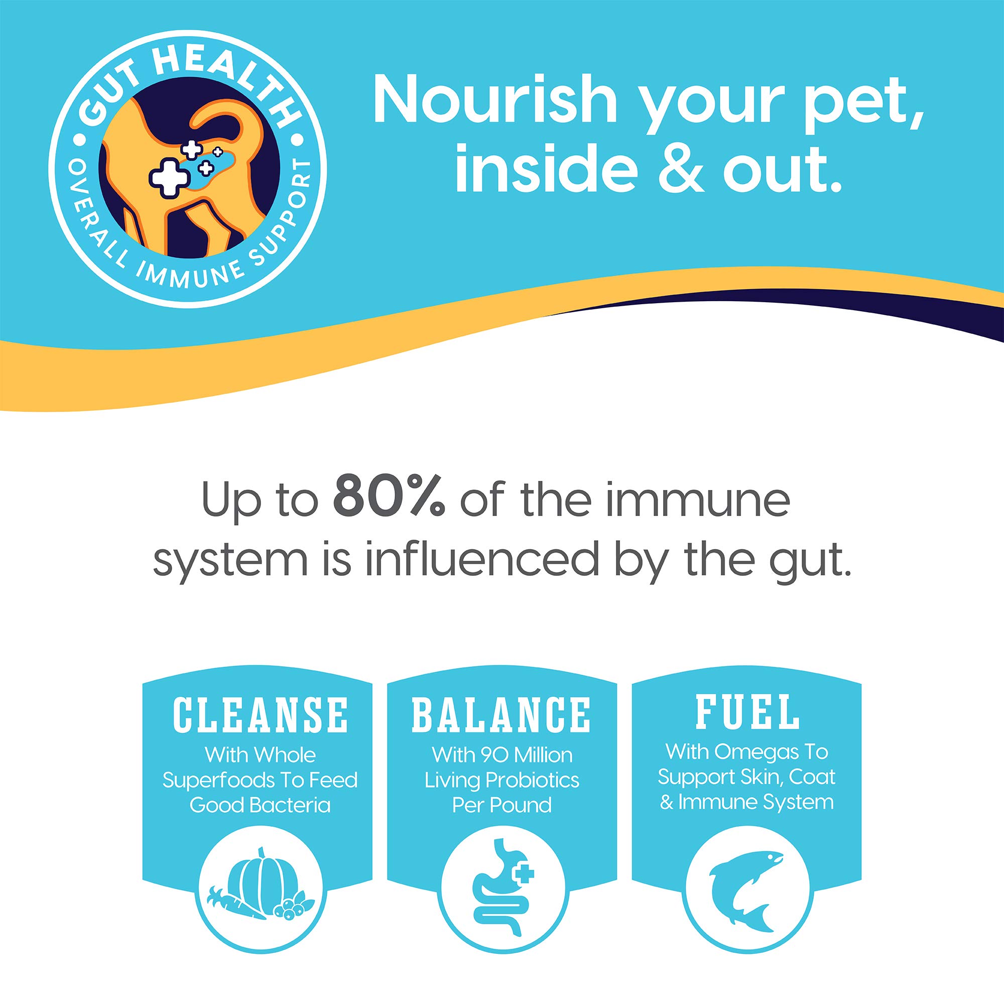 Premium Solid Gold Canned Dog Food for Adult & Senior Dogs - High Protein Real Chicken Recipe with Whole Grains - Star Chaser High-Calorie Wet Dog Food for Healthy Digestion & Immune System Support - Ideal for Picky Eaters, Weight Management & Daily Nutrition Boost