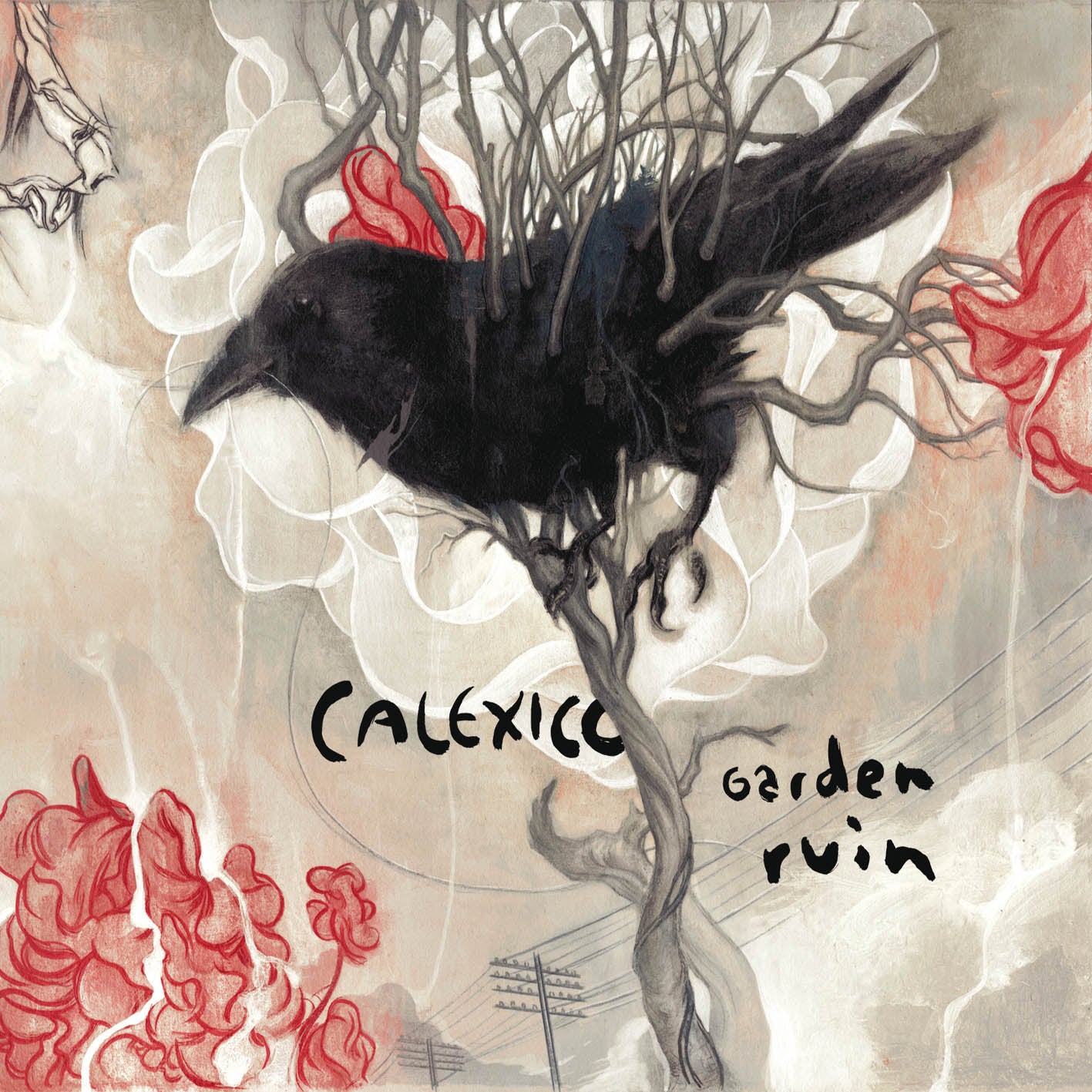 Garden Ruin [Limited Colored Vinyl LP] - Perfect for Music Collectors & Vintage Vinyl Enthusiasts