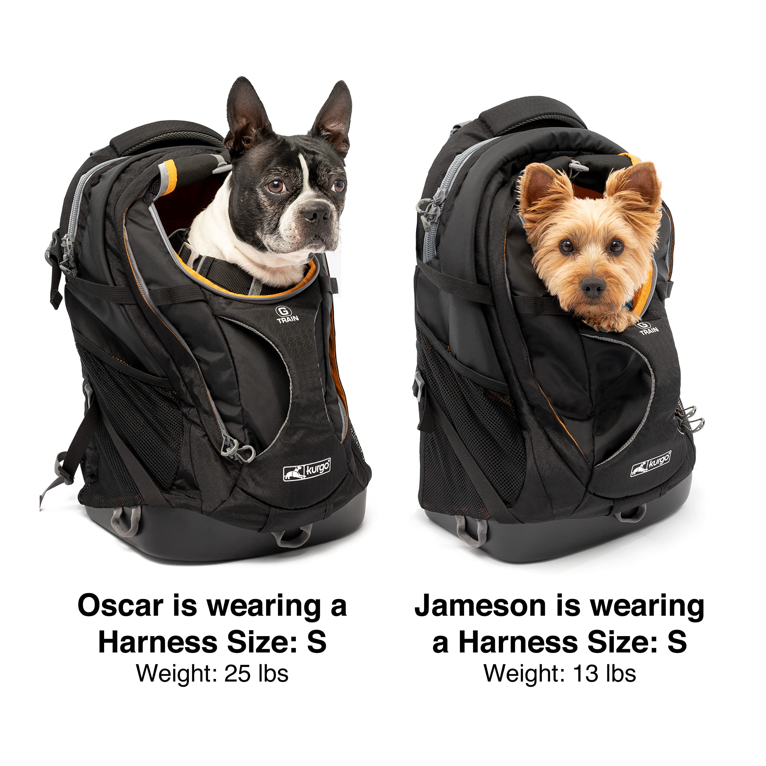 Kurgo G-Train Airline Approved Dog Carrier Backpack for Small Dogs & Cats Under 25 lbs - TSA Compliant Pet Travel Bag in Navy Blue - Perfect for Airplane, Hiking & Outdoor Adventures