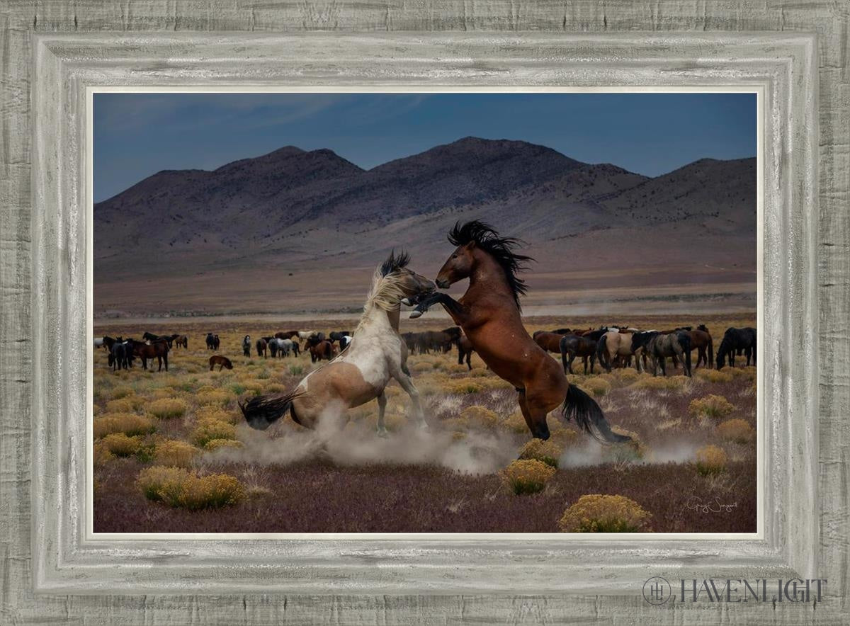 Desert Duel 5 by Greg Sargent - Western Action Novel - Perfect for Book Clubs & Cowboy Adventure Fans