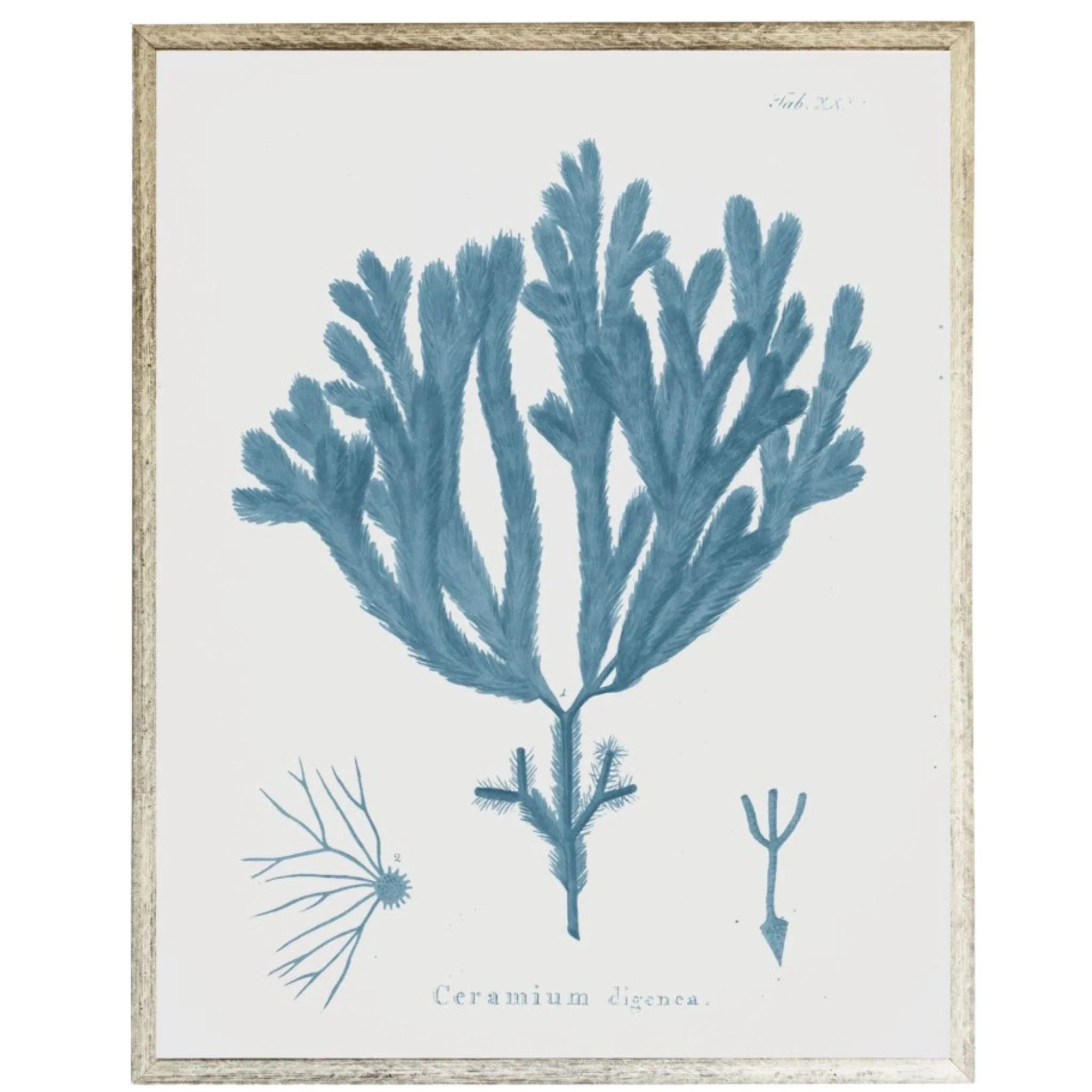 Blue Coral Framed Wall Art - Coastal Home Decor for Living Room, Bedroom & Office | Ocean Themed Painting for Beach House Style