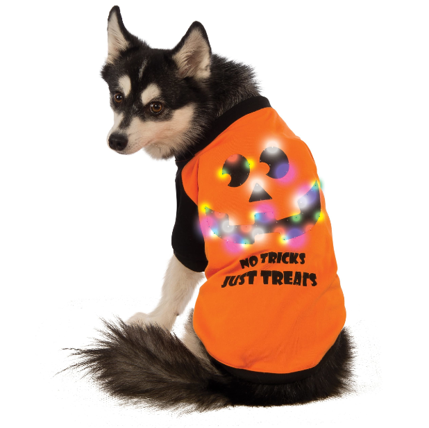No Tricks Just Treats LED Costume XXL - Glow in the Dark Halloween Outfit for Adults, Parties & Cosplay Events