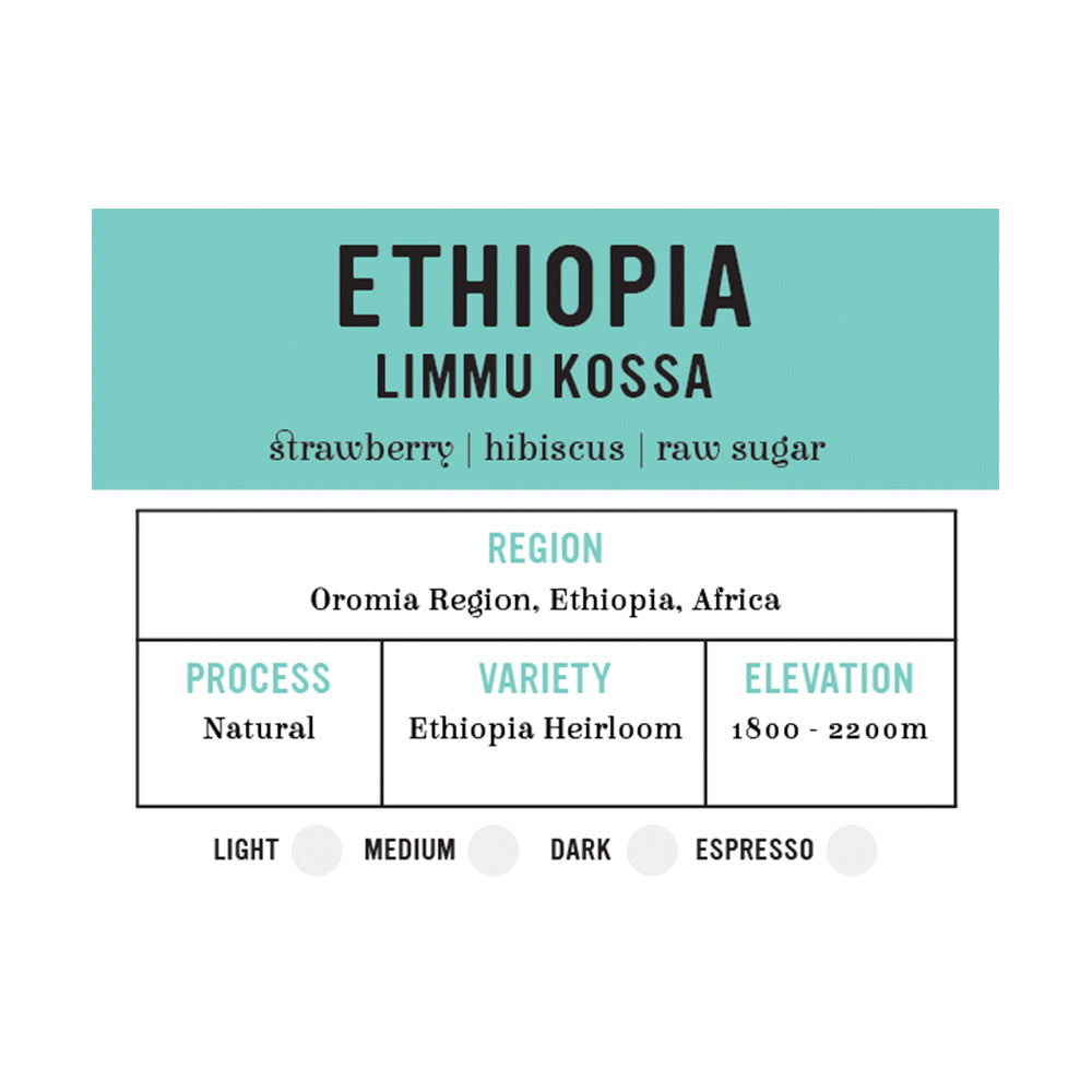Premium Ethiopia Limmu Kossa Whole Bean Coffee - 12 oz Bag, Single Origin Arabica Beans for Rich Flavor, Perfect for Home Brewing, Office Use & Gift Giving