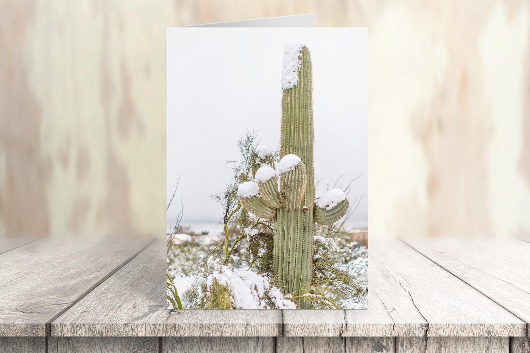 Stonehouse Collection | Snow on Saguaro Cactus Greeting Cards | Winter Desert Note Cards with Envelopes | Perfect for Holiday Greetings, Birthday Wishes & Special Occasions