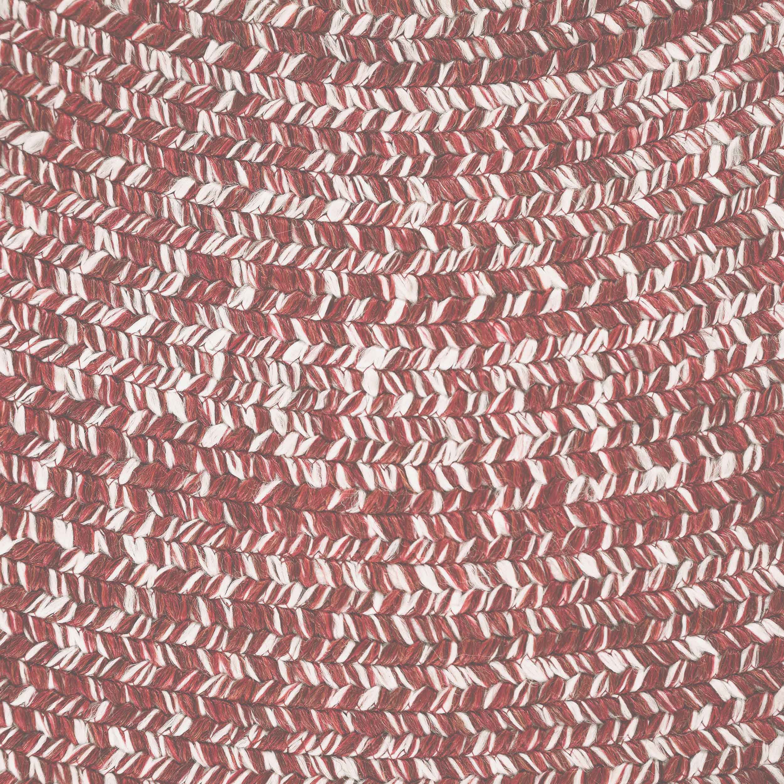 Reversible Braided Area Rug - Non-Slip Two Tone Indoor/Outdoor Rug for Living Room, Bedroom, Patio - Soft & Durable Home Decor