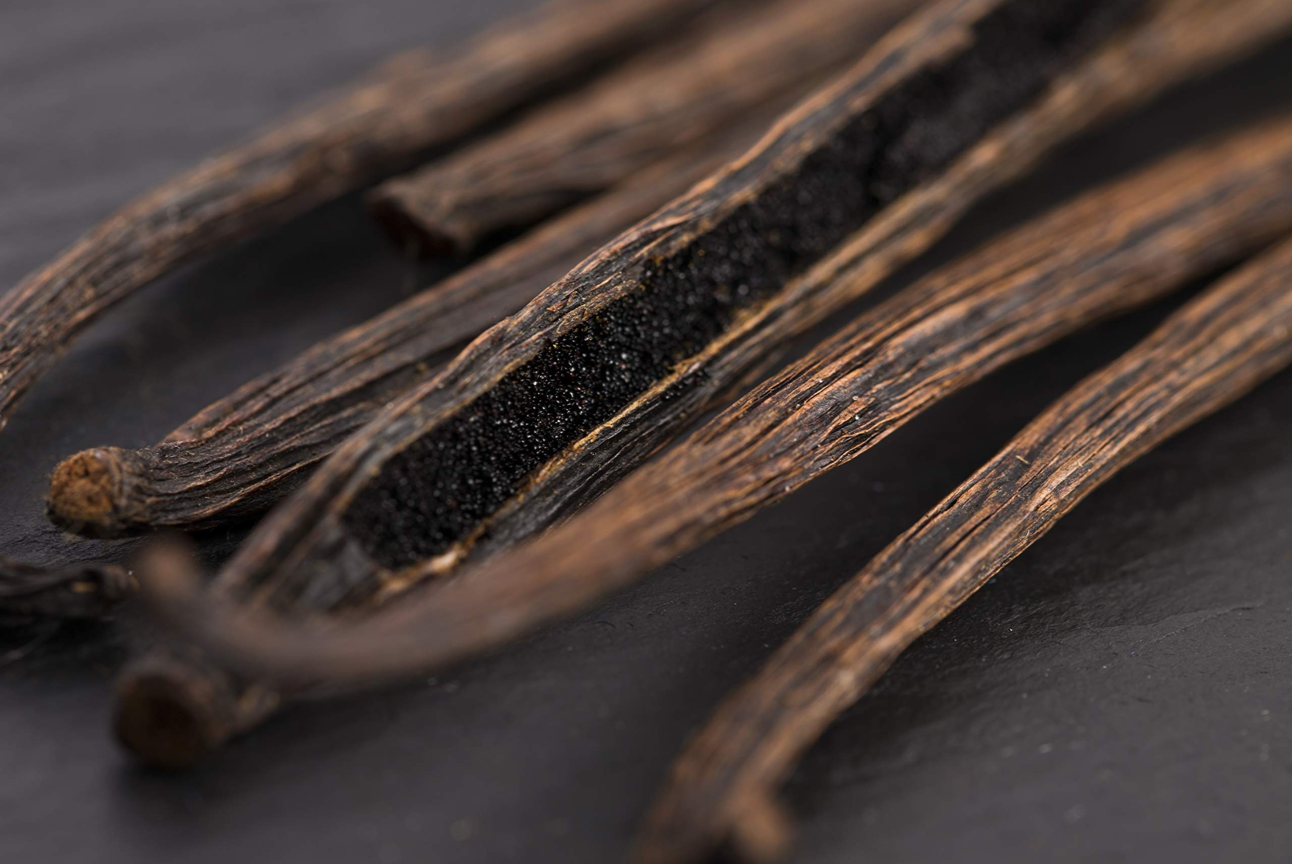 Premium 1 LB Organic Madagascar Vanilla Beans - Grade B Whole Pods for Baking, Homemade Extract, Brewing, Coffee & Cooking | 16oz Bulk Vanilla Beans for Desserts, Ice Cream & Cocktails