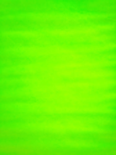 54-Inch Wide Glimmer Tulle Fabric by the Yard in Citrus Floral Green - Perfect for Wedding Decor, Party Backdrops & DIY Craft Projects