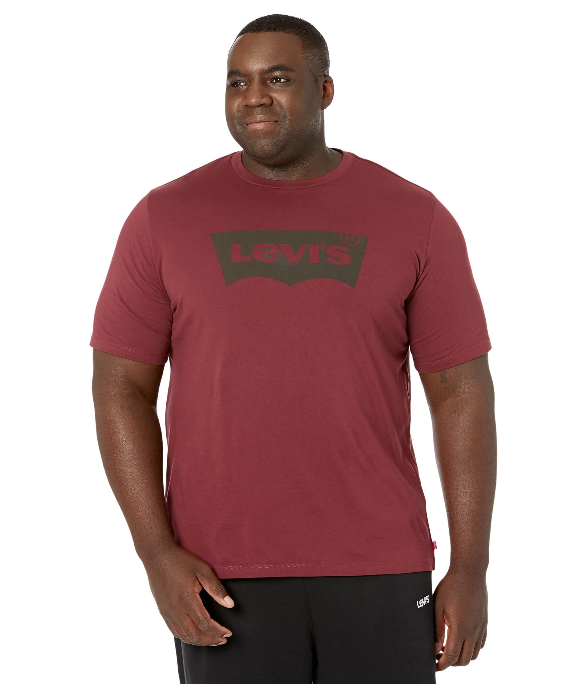 Levi's Men's Graphic T-Shirts for Casual Wear | Regular & Big & Tall Sizes | Perfect for Everyday Outfits, Street Style & Weekend Looks