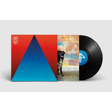 After You Vinyl Record - Classic Music LP for Collectors & Audiophiles - Perfect for Home Listening & Gifts