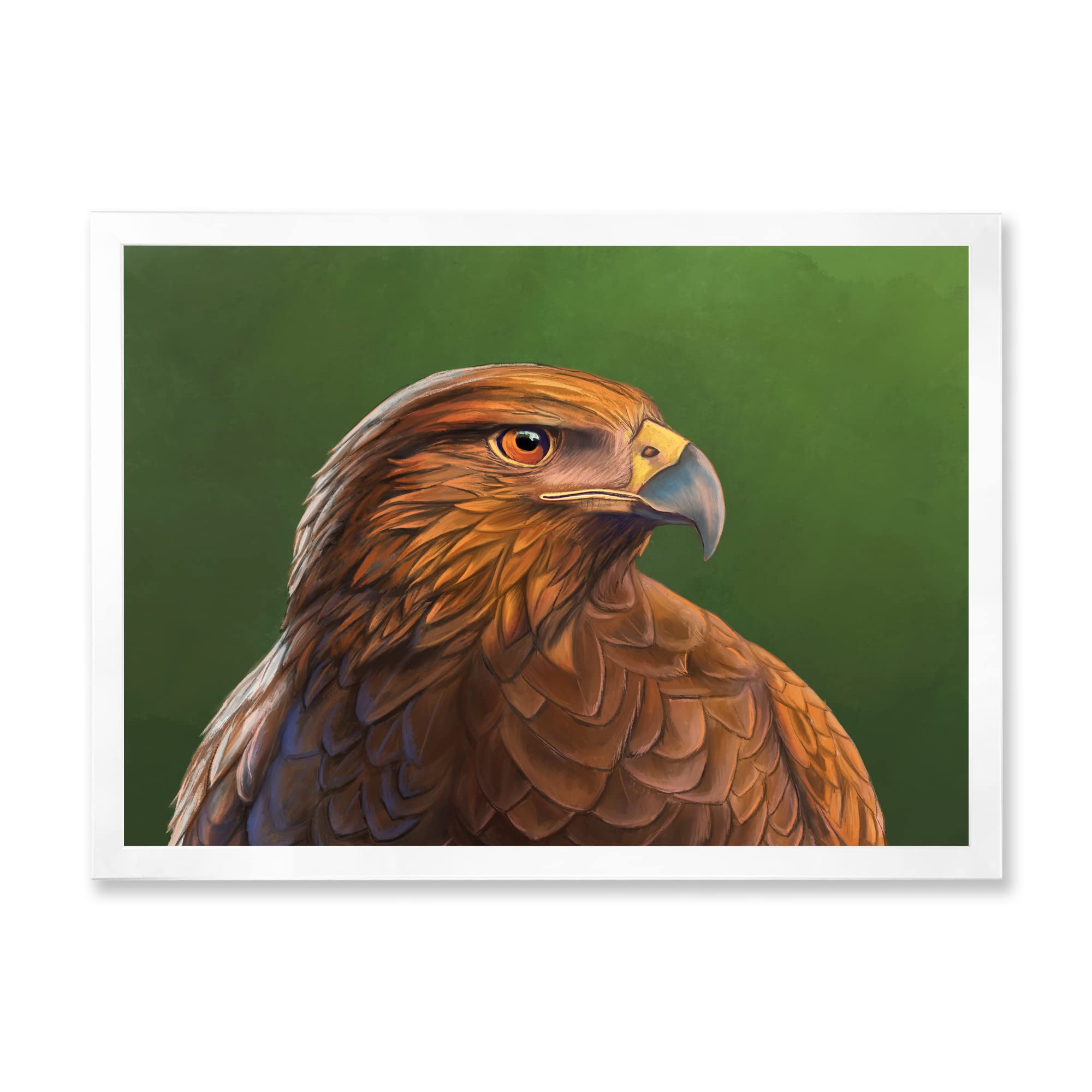 Harris Hawk Bird Portrait - Traditional Framed Wall Art Decor for Living Room, Office & Bedroom