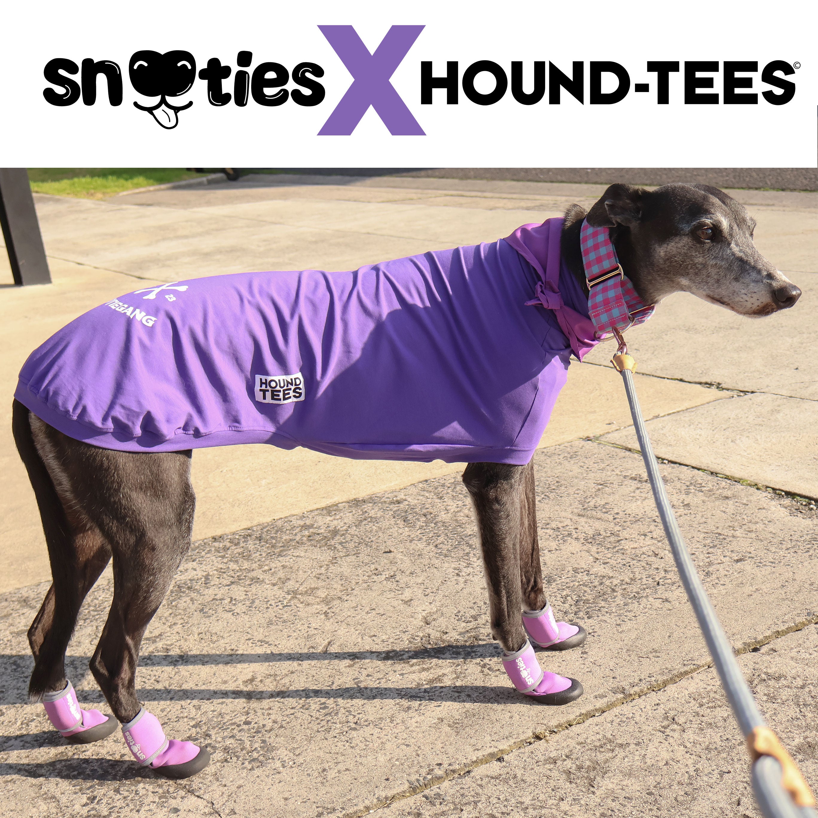 Pre-Order Snooties Booties Collab Bootie Gang Tee - Cute Matching Outfits for Dogs & Owners - Perfect for Pet Lovers, Dog Walks, and Instagram Photos