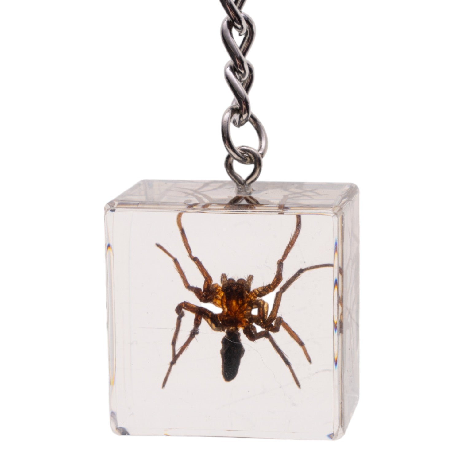 Real Spider Encased in Acrylic Cube Keychain - Unique Science & Nature Collector's Item - Perfect for Halloween Decor, Gifts for Entomology Lovers, and Gothic Fashion Accessories