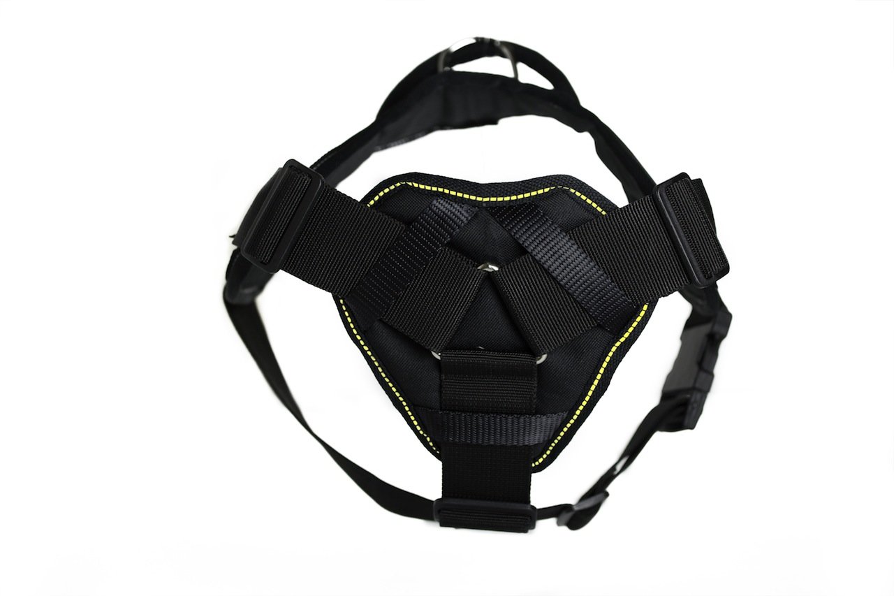 DT Fun Deaf Dog Harness with Padded Chest - Adjustable 22-27 Inch Girth, Small Black/Yellow - Perfect for Hearing Impaired Pets, Training & Outdoor Adventures